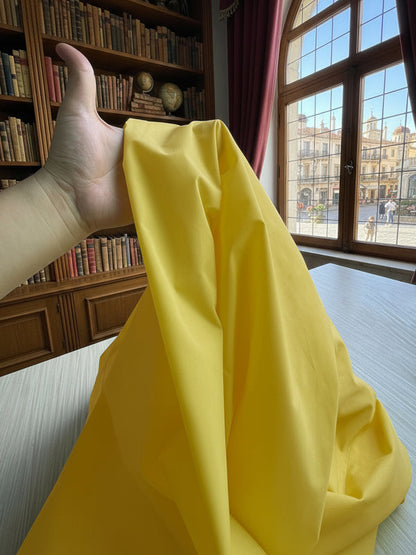 Celine Pleated Shirt Dress