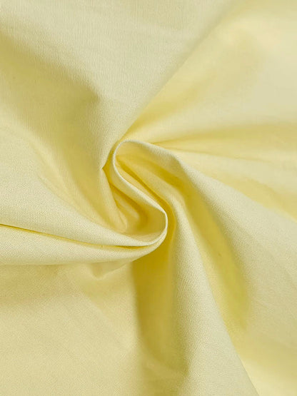 Vivienne Pleated Shirt Dress