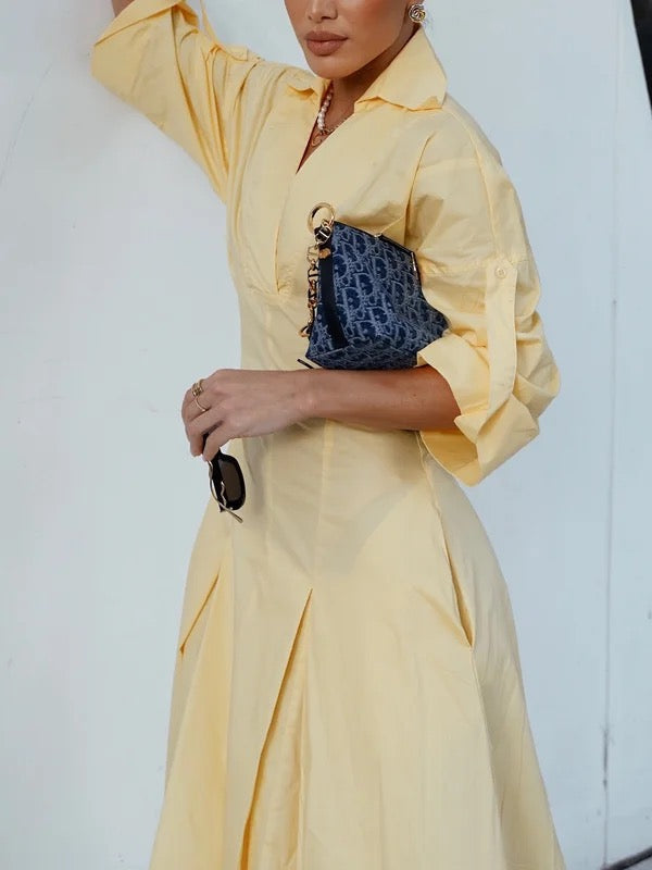 Vivienne Pleated Shirt Dress